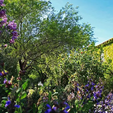 Neion Guest house 3*