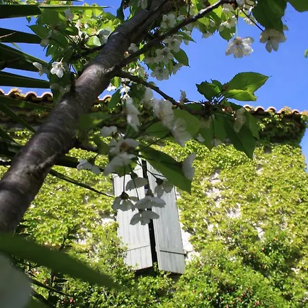Guest house Neion 3*